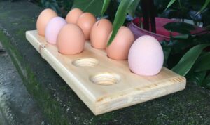 Yolk & Oak - Image 2